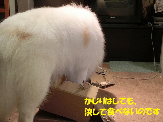 e0196135_10553177.jpg
