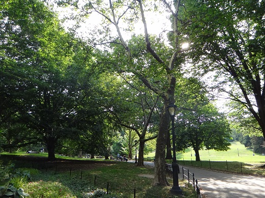 e0238838_633518.jpg