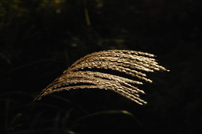 a0049639_19225526.jpg