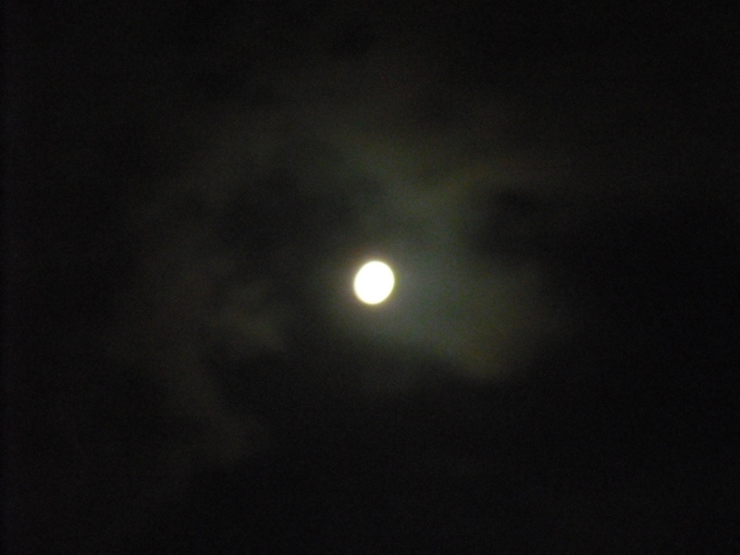 c0194042_21331433.jpg