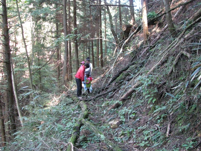 f0151044_731399.jpg