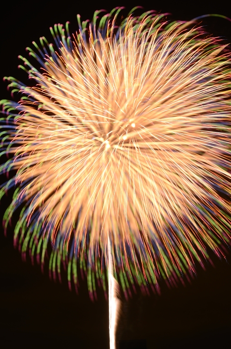 a0263952_1821023.jpg