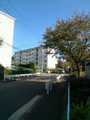 d0271257_19215015.jpg