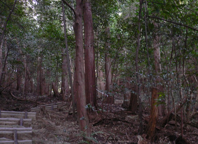 b0223766_1346413.jpg