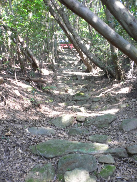 b0223766_1351577.jpg