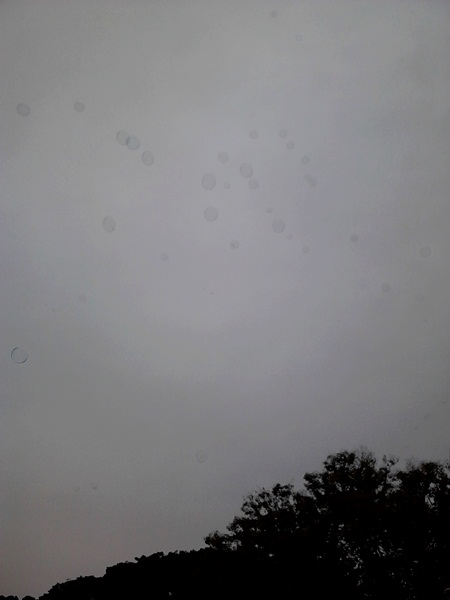 e0153367_16174543.jpg