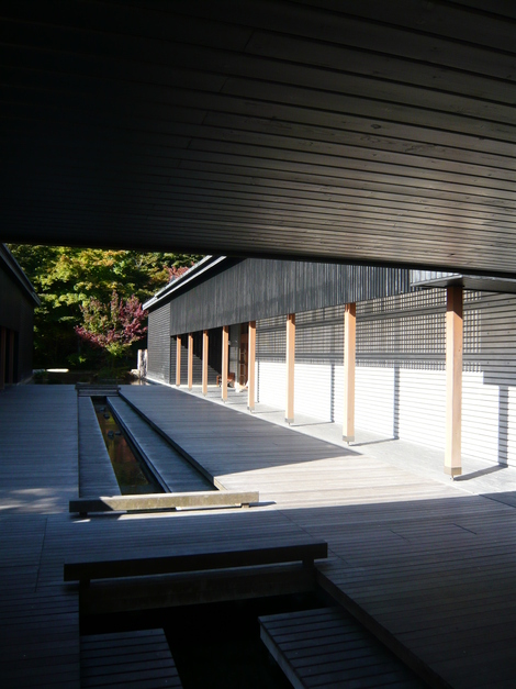 d0108969_1764680.jpg