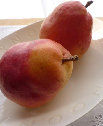 f0036269_831156.jpg