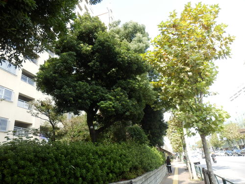 e0292172_1284322.jpg