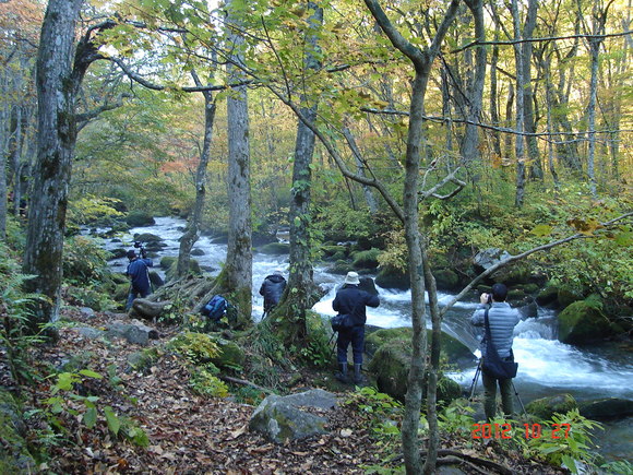 a0188775_11293334.jpg