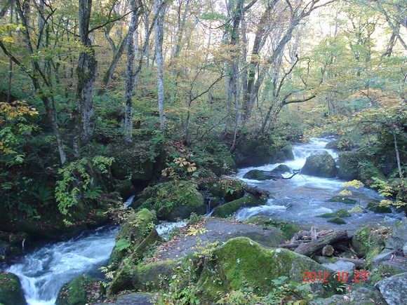 a0188775_11312050.jpg