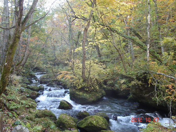 a0188775_11313069.jpg
