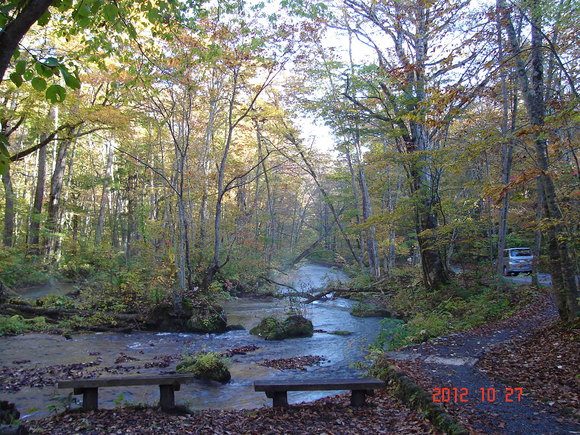 a0188775_11333719.jpg