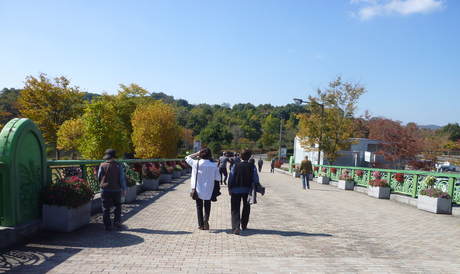 b0029182_1653490.jpg
