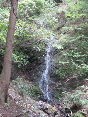 c0138182_9364684.jpg