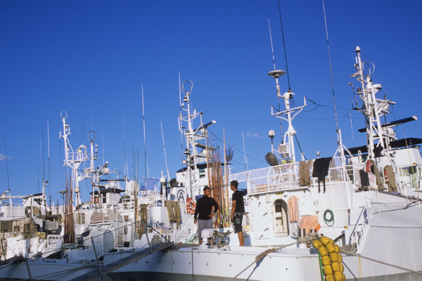 a0053783_2395647.jpg