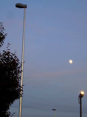 f0079085_2137539.jpg