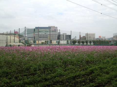 a0216086_2265047.jpg