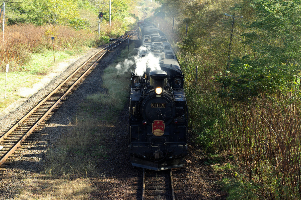 e0051186_2019755.jpg