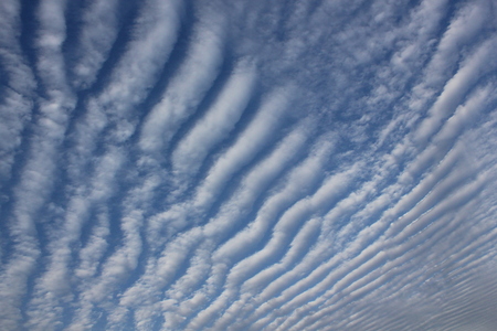 c0226487_1115096.jpg