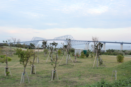 c0226487_1304273.jpg
