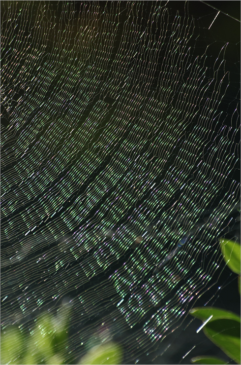 d0209988_2103735.jpg