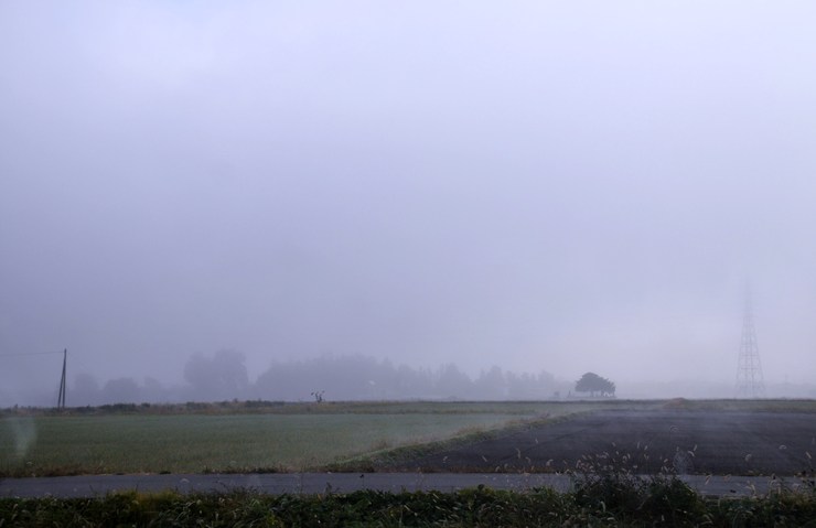 c0246290_11293682.jpg