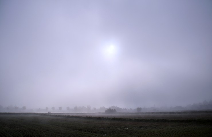 c0246290_1129502.jpg