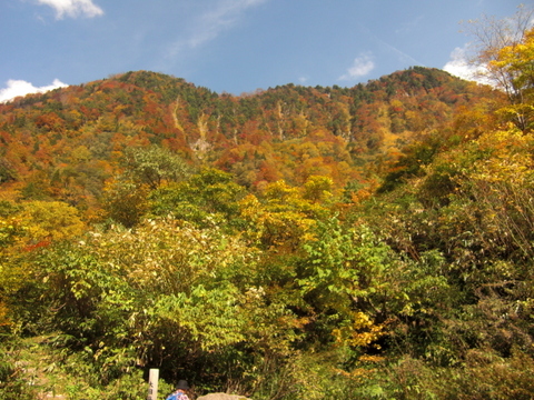 b0169292_20485629.jpg