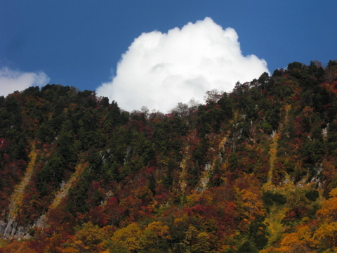 b0169292_20491269.jpg