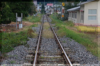 b0115497_15262671.jpg