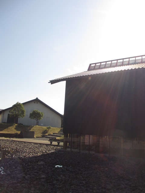 a0193698_756457.jpg
