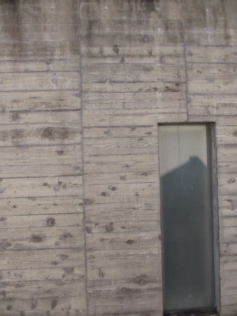 a0193698_81894.jpg