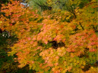 c0151898_15324036.jpg