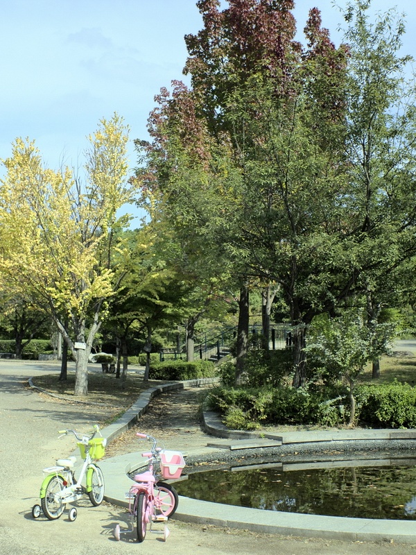 b0138101_1640463.jpg