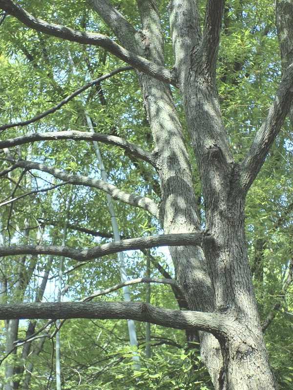 b0138101_1641016.jpg