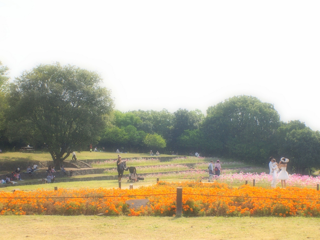 b0138101_16412416.jpg