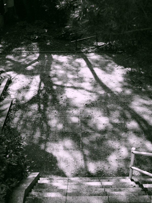 b0138101_16414144.jpg