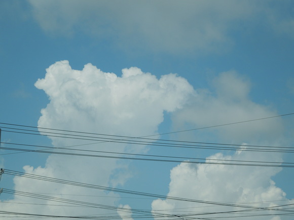a0292602_21503686.jpg