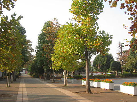 d0046702_11153117.jpg