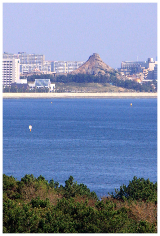 d0248502_746597.jpg