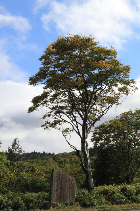 f0034602_16421338.jpg