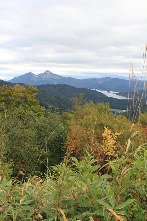 f0034602_1643485.jpg