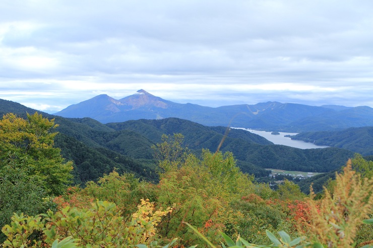 f0034602_1659782.jpg