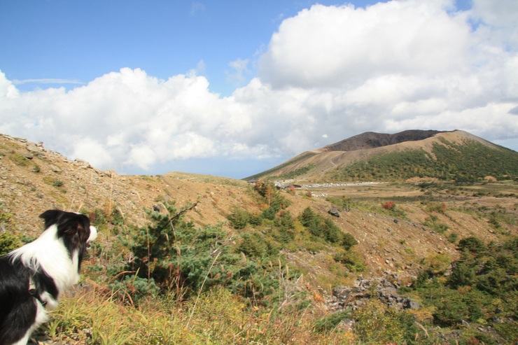 f0034602_1712435.jpg