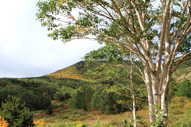 f0034602_1745269.jpg