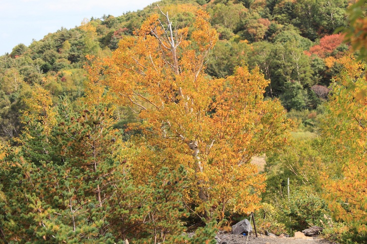 f0034602_1775339.jpg