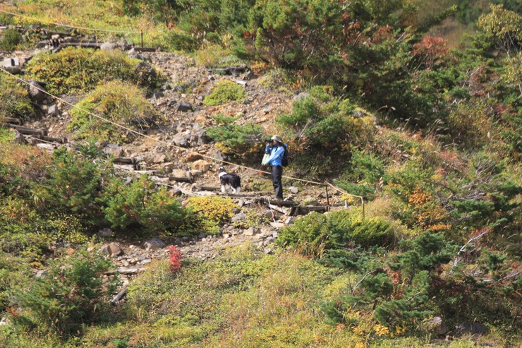 f0034602_1794750.jpg