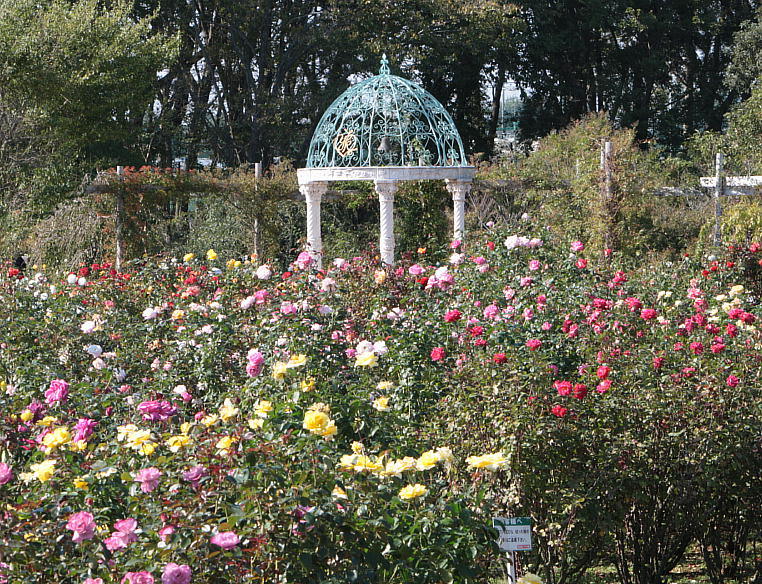 d0166303_1826549.jpg