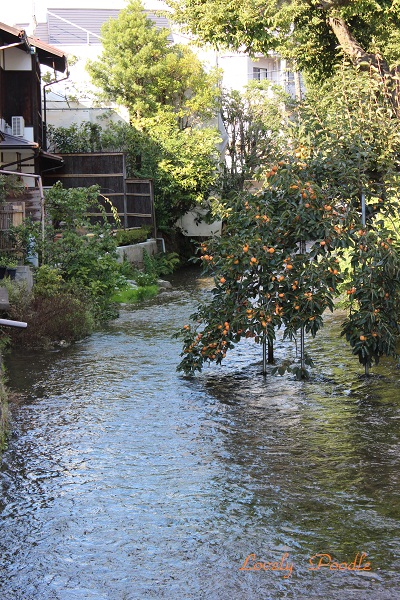 d0257606_13295258.jpg